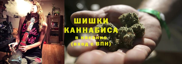 мдпв Балабаново