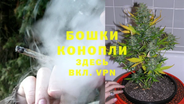 мдпв Балабаново